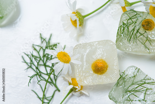 cosmetic ice cubes with chamomile and mint for home care applies to the face. The concept of skin care. cosmetics with herbs on a light background