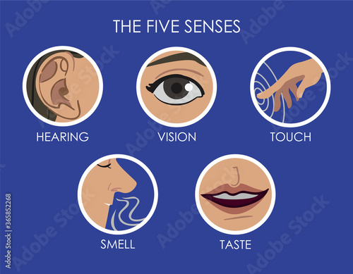 Icon set for the five different senses: hearing, vision, touch, smell, tast
