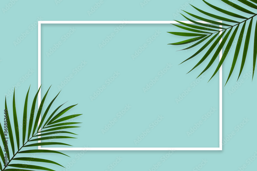 Fototapeta premium Natural green palm leaf with white frame on pastel green background, nature background