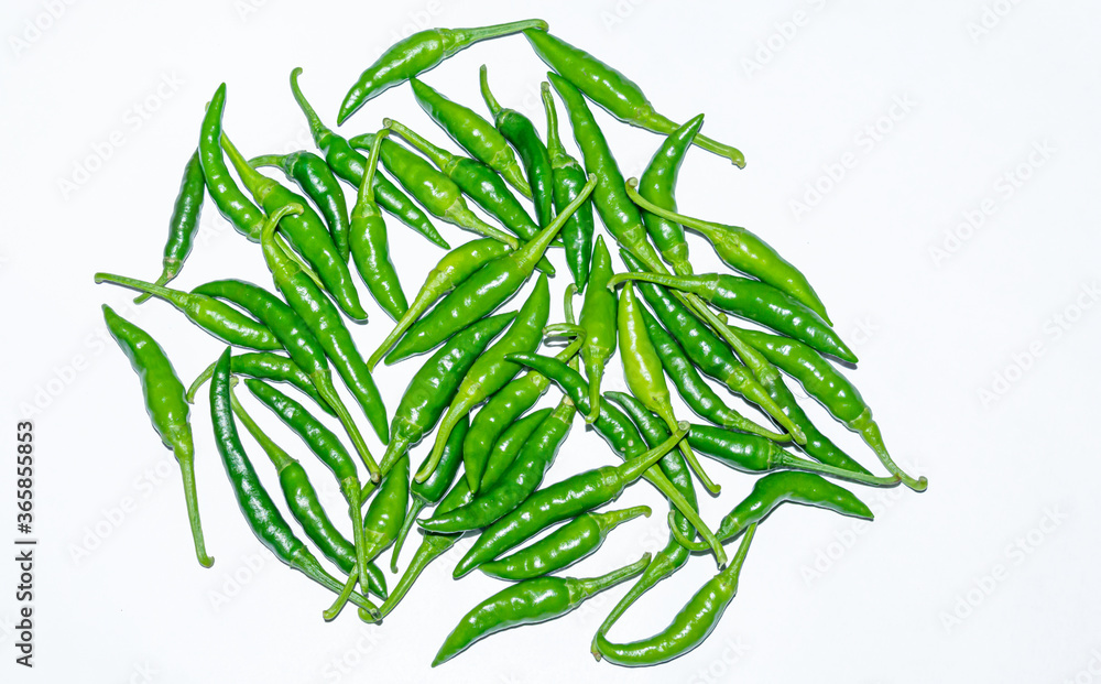 Fresh harvested green chili on white background. Fresh harvested green chili on white background.
