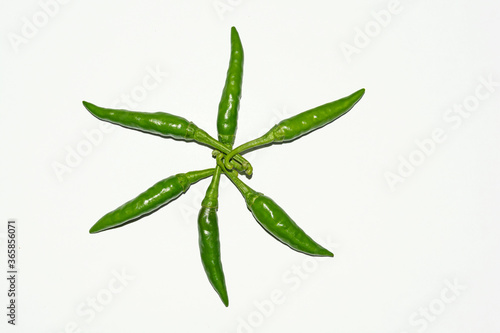 Fresh harvested green chili on white background.