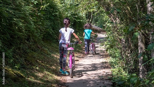 Balade vélo en forêt 