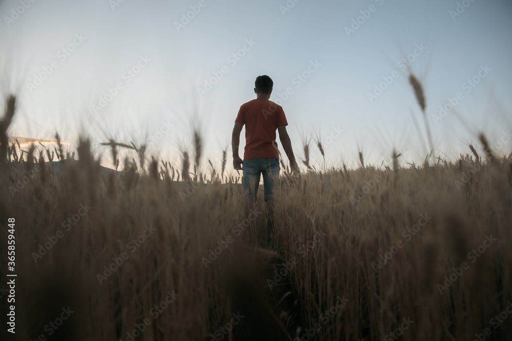 man in field man in field