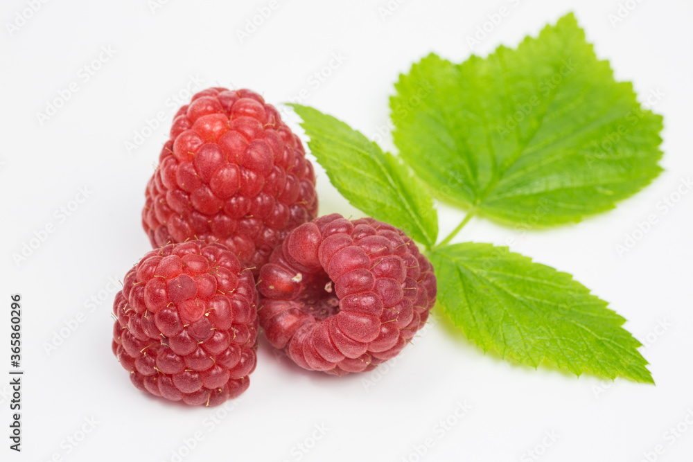 heap of ripe red raspberries with leaf heap of ripe red raspberries with leaf