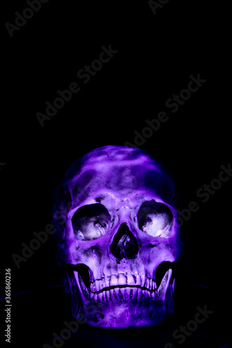 Human Skull with Purple Lighting