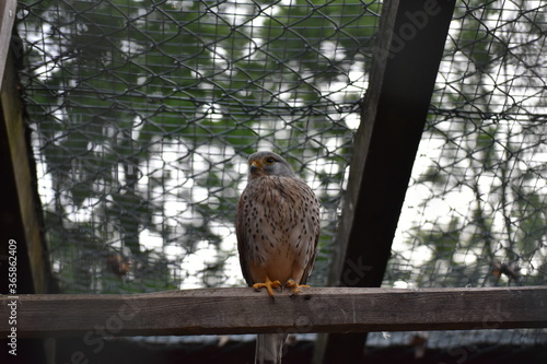 Alles im Blick