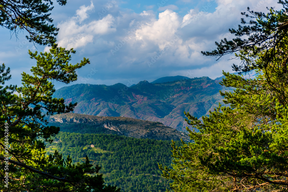 A picturesque landscape view of the Alps mountains behind the trees of a pine forest (Puget-Theniers, Alpes-Maritimes, France)