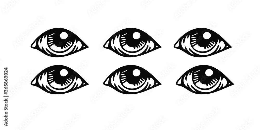 vector illustration of a eye vector illustration of a eye