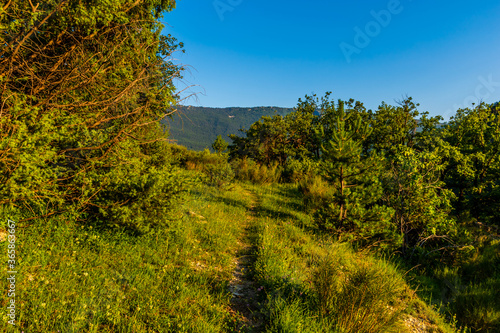 Fototapeta Naklejka Na Ścianę i Meble -  A wide angle shot of a hiking path in a green plain field in a forest in the French Alps in the evening