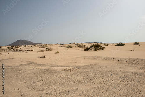 Dunas de Corralejo  Fuerteventura  Espa  a