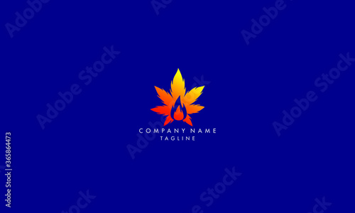 Cannabis fire Logo Design. cannabis or marijuana leaf with fire sign symbol.
