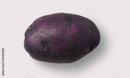 Purple potato on a white background