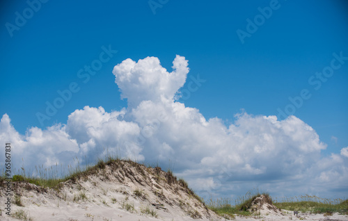 Beach Views