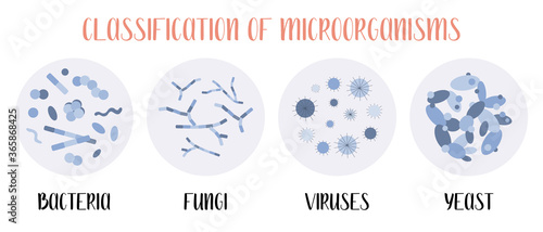 Classification of microorganisms: bacteria, fungi, viruses, yeast. Microbiology. Vector flat illustration photo