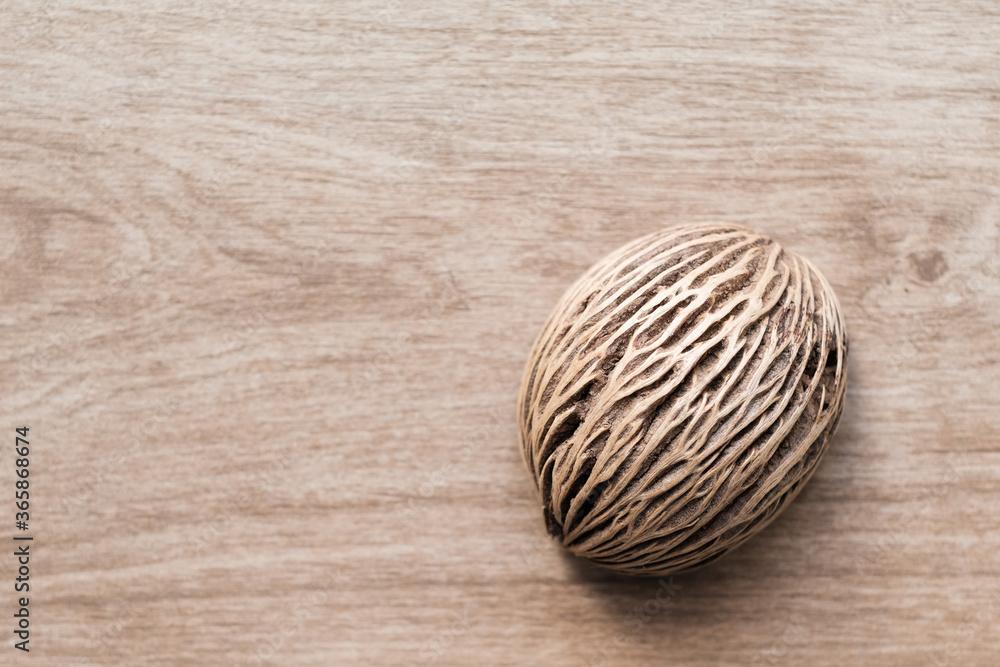 Dry devil tree seed on wood background Dry devil tree seed on wood background