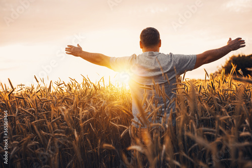 Sunrise or sunset picture of guy with raised hands looking at sun and enjoying daytime. Adult man stand alone in middle of ripe wheat field. Farmer or egricultural guy.