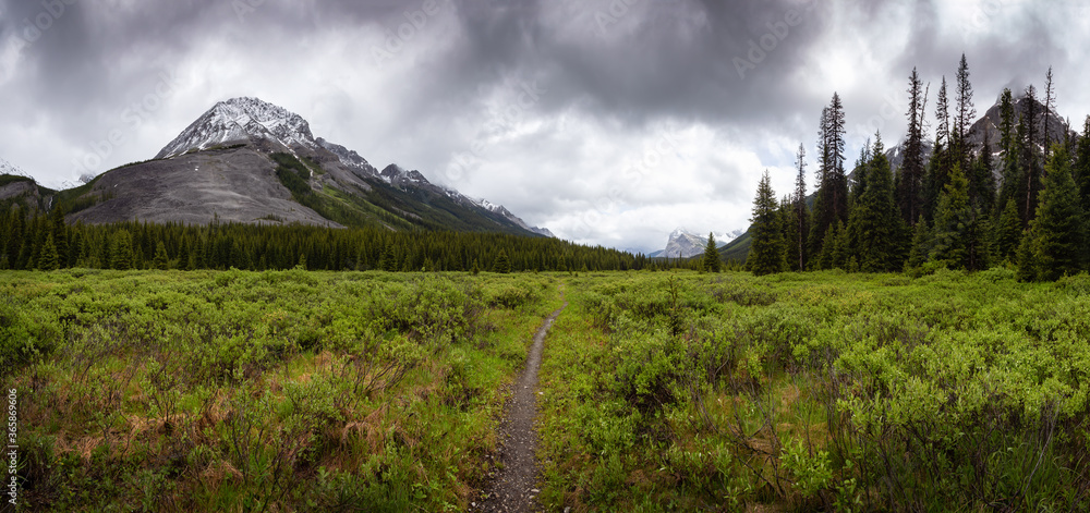 Panoramic View of Beautiful Vibrant Green Meadows in the Canadian Rocky Mountain Landscape during a cloudy spring day. Taken near Banff, boarder of British Columbia, Canada. Nature Background Panorama