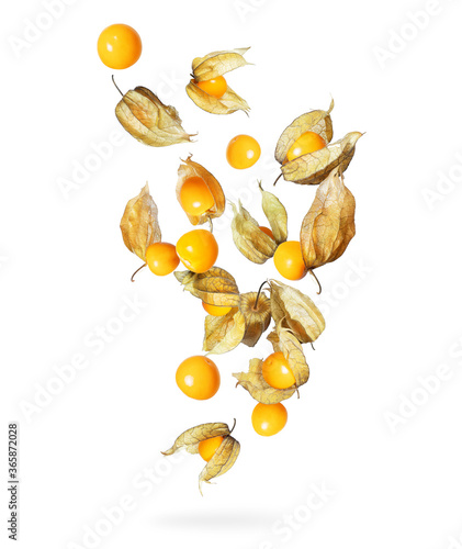 Physalis in the air isolated on a white background