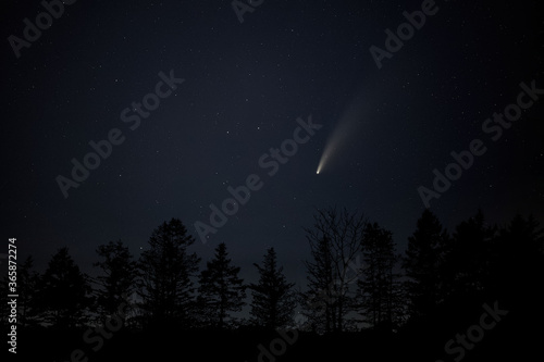 Neowise comet across night shy over forest tree tops. July 17 2020