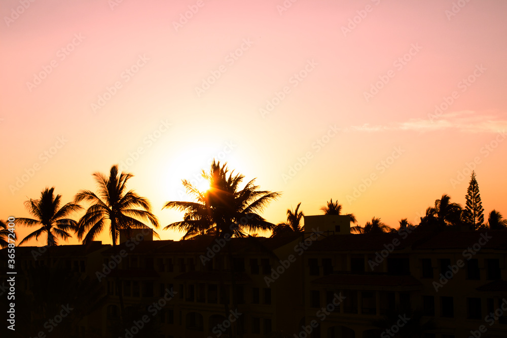 Fototapeta premium sunset over the city