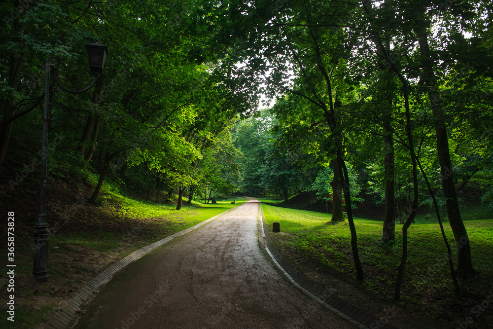 City public green park in summer, footpath on background of grass and trees lawn City public green park in summer, footpath on background of grass and trees lawn