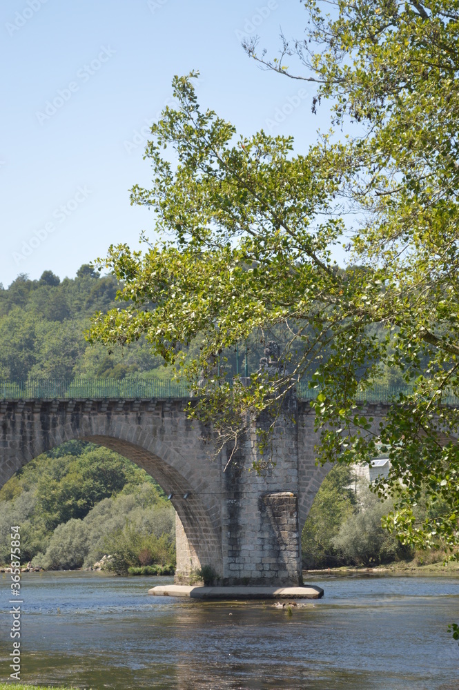 Fototapeta premium bridge over river in the forest