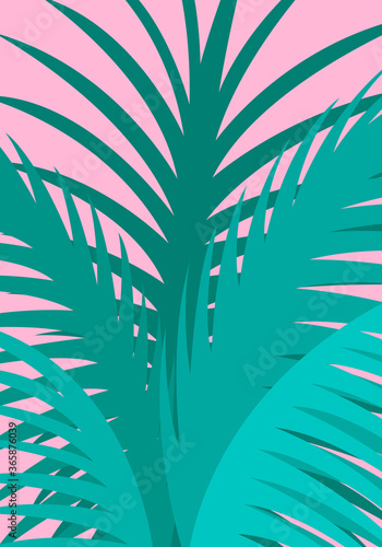 palm leaves stack on a pink background