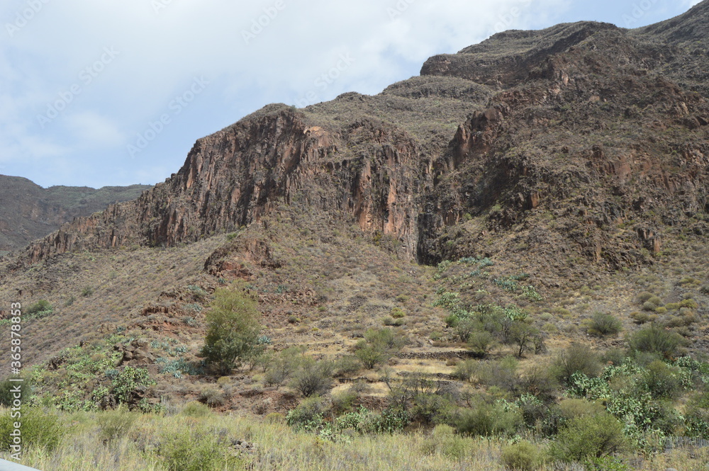 Montañas desérticas barranco Guayadeque Montañas desérticas barranco Guayadeque