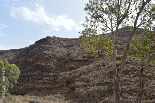 Monta  as des  rticas barranco Guayadeque