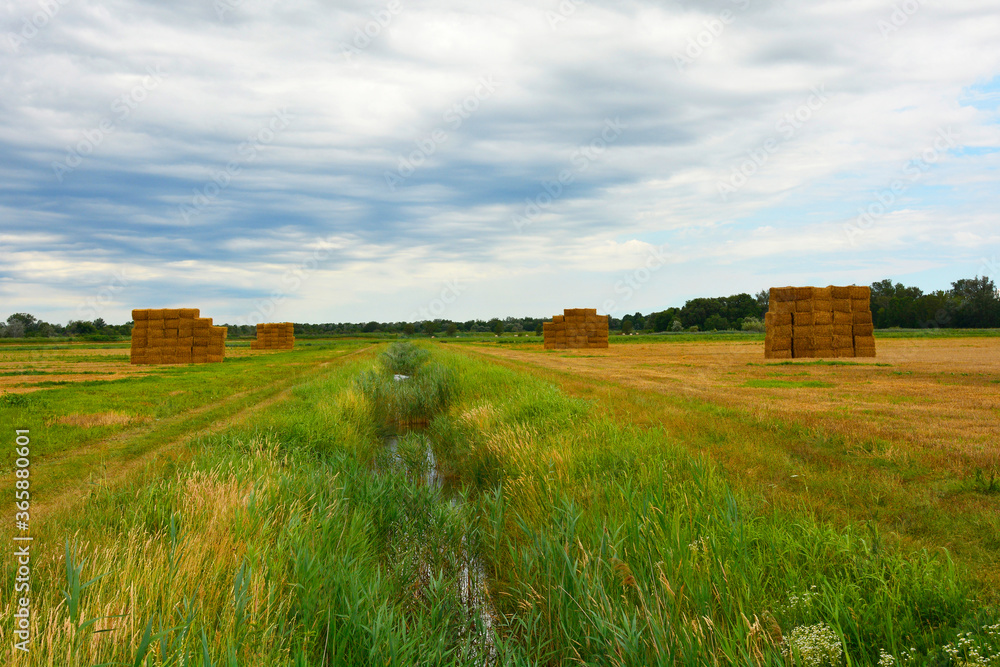 Square haystacks in a square arrangement on the north east Italian wetlands near Marina Julia, Friuli-Venezia Giulia

