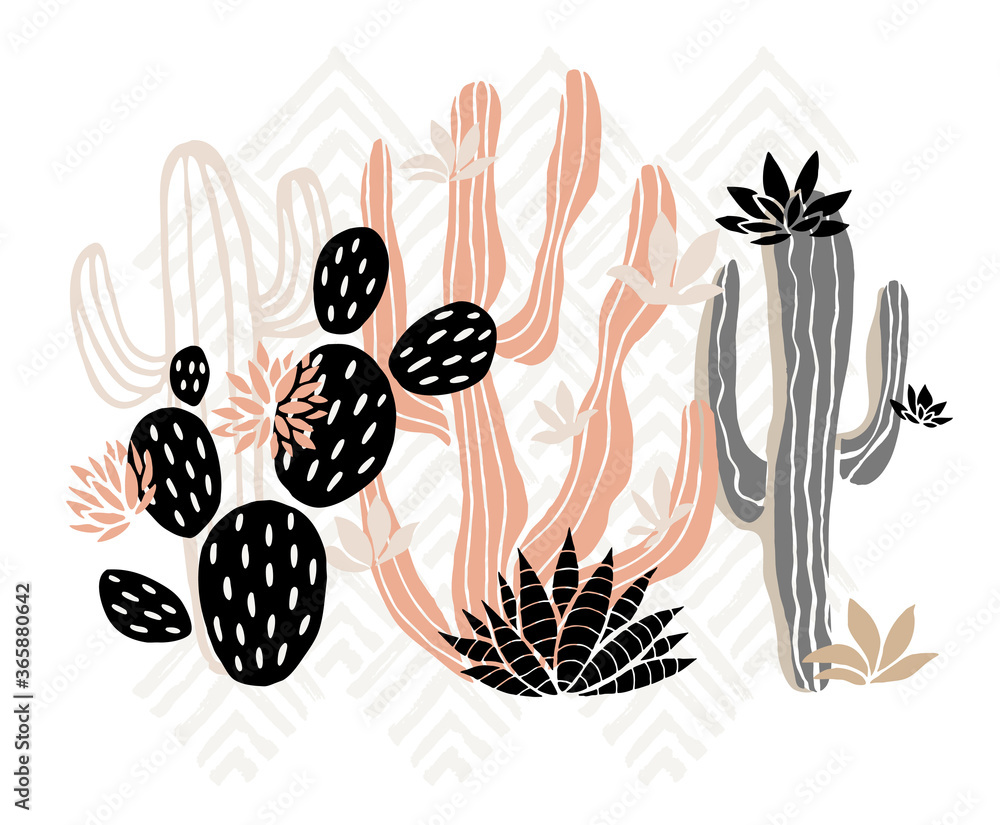 Fototapeta Cactus succulent wild rose flowers tender pink brown pastel color watercolor. Wild beautiful cacti succulents collection. Hand drawn vector illustration