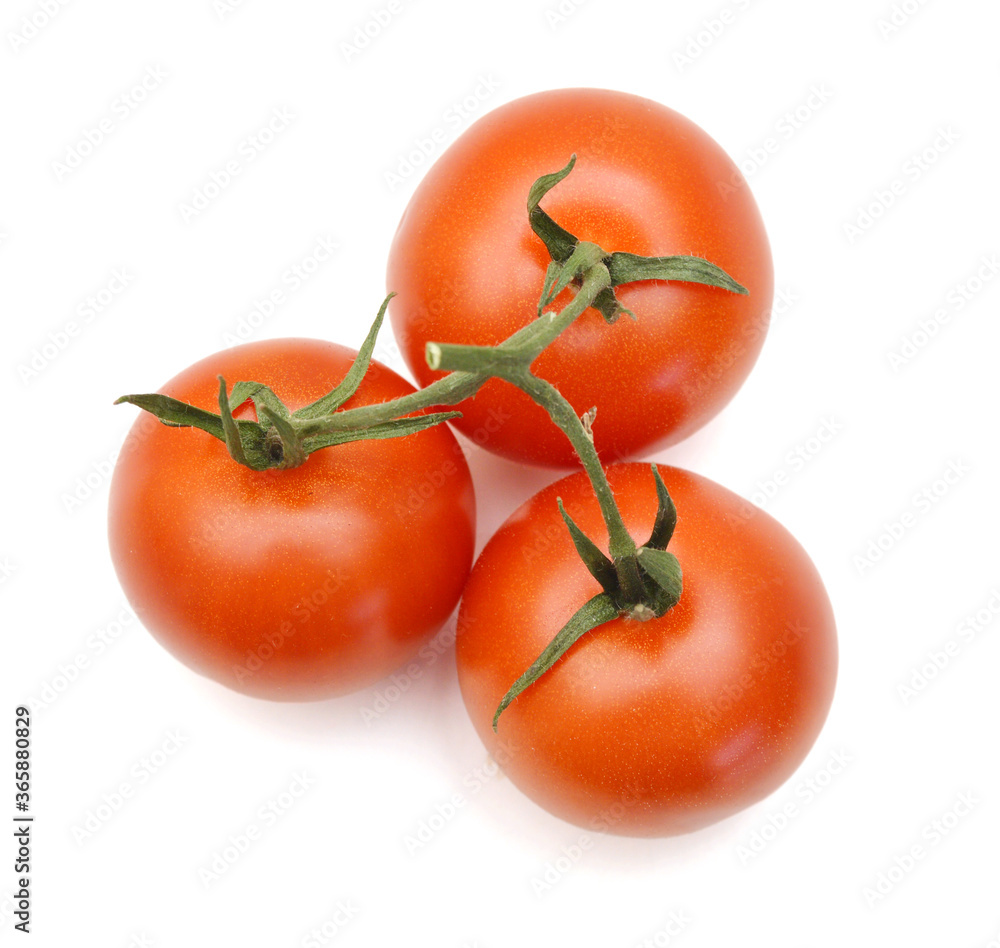 Ripe tomatoes isolated on white background Ripe tomatoes isolated on white background