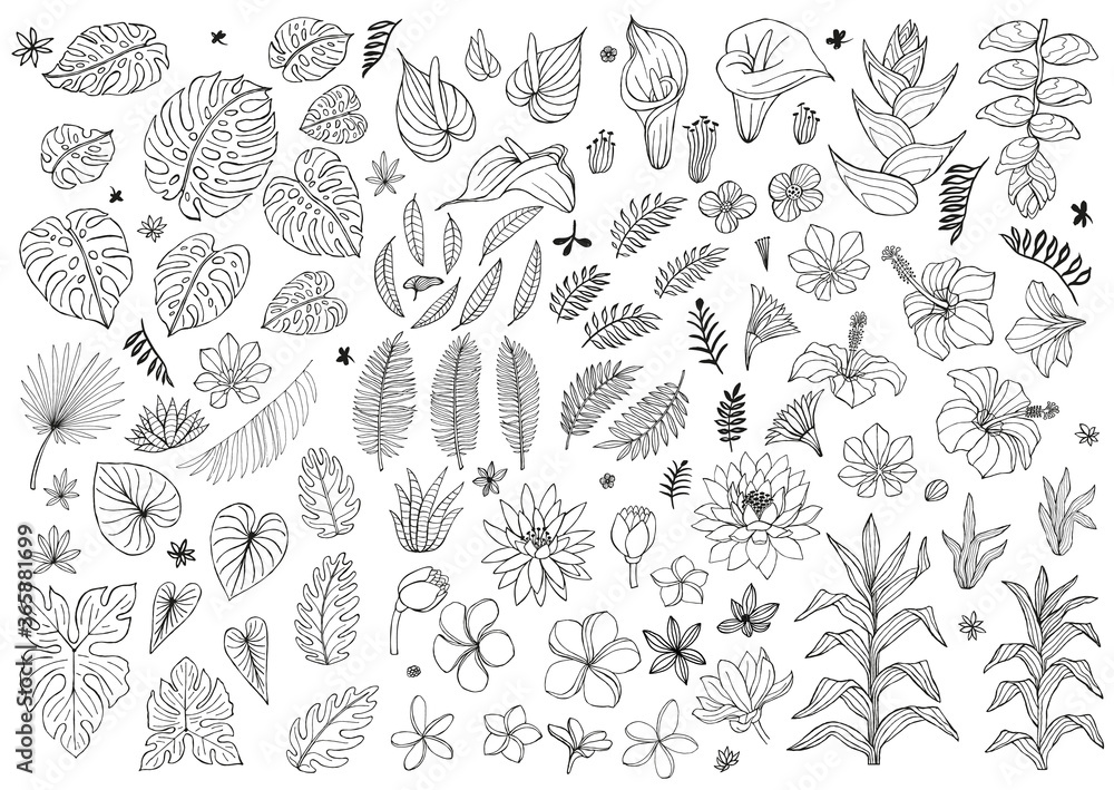 Jungle Background Clipart Black And White