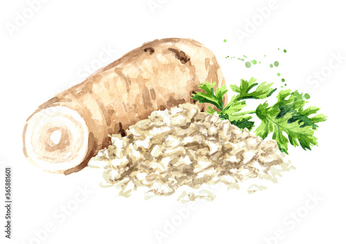 Foto Horseradish root, grated horseradish and fresh herbs