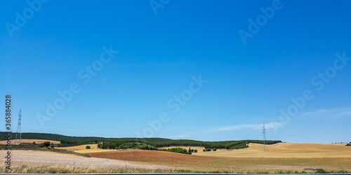 Countryside landscape peaceful colorful wheat sown