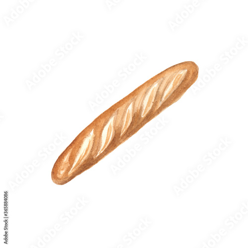 Watercolor illustration of a French baguette on a white background