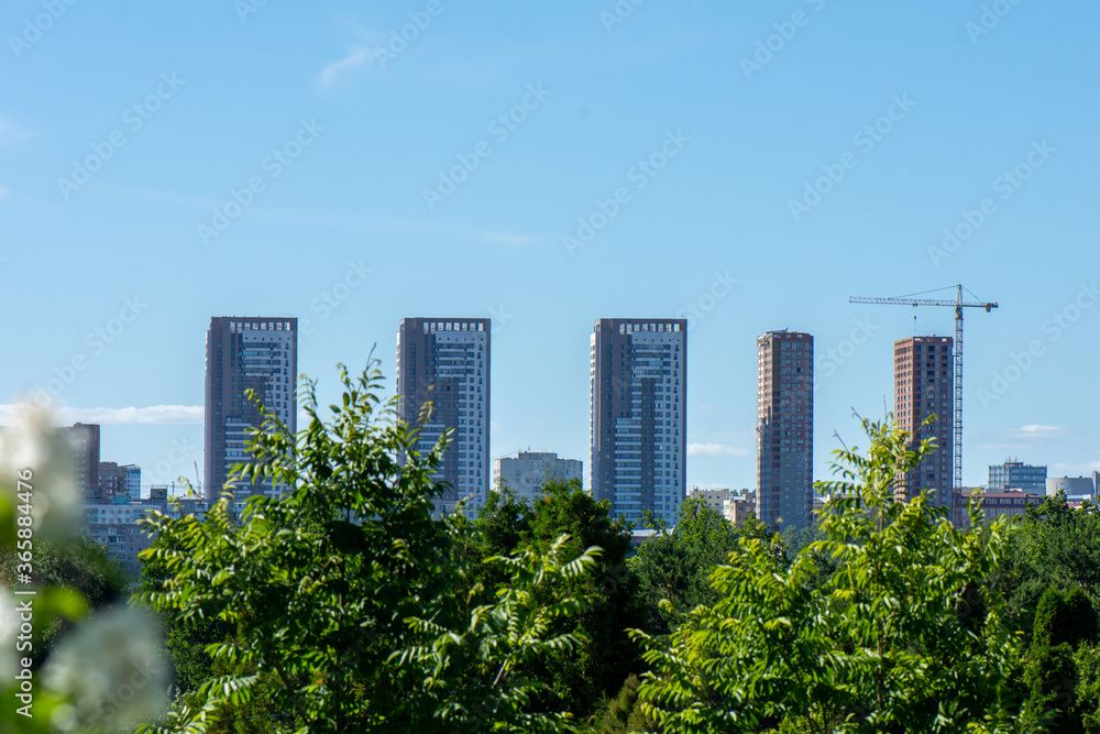 View of city high-rises through the greenery of the Park