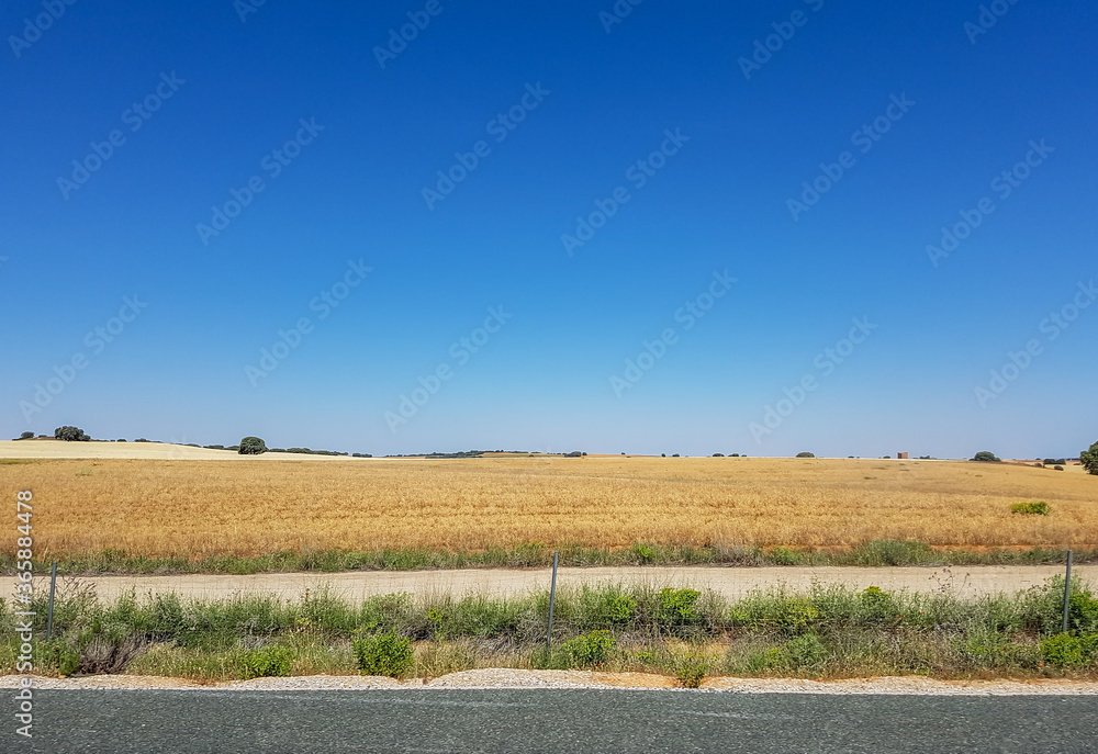 Obraz premium Landscape countryside with sown