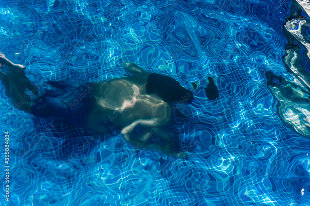 Fototapeta premium Diving in the pool