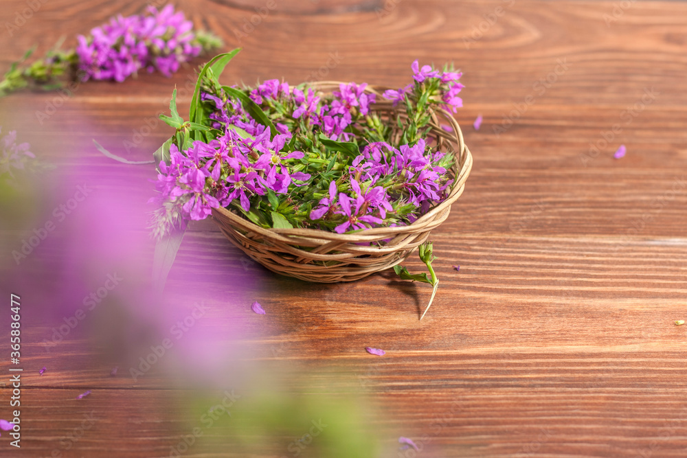 Fresh bunch of blooming Sally flowers on wooden background with copy space.