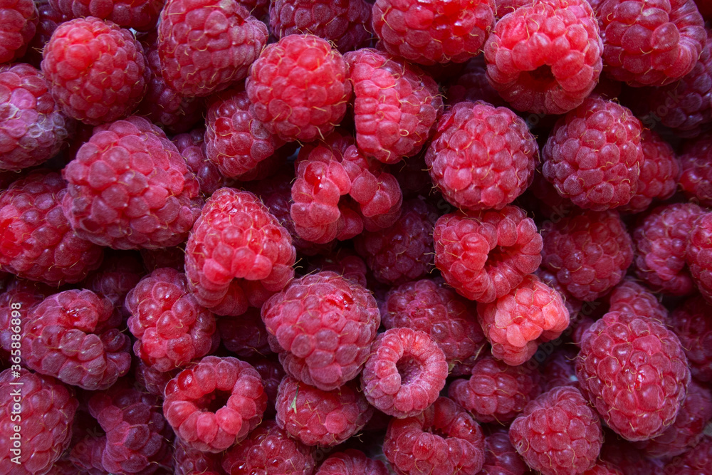 Ripe raspberries close up abstract background Ripe raspberries close up abstract background