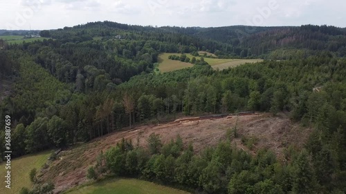 Wood workers transport trees - aerial or drone view photo