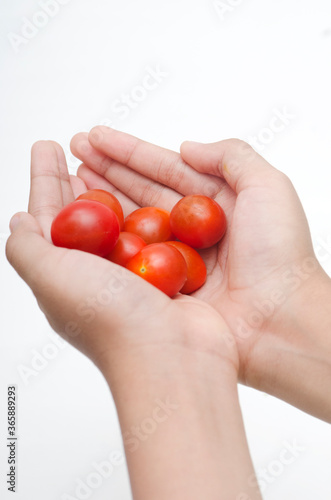 hand holding tomato © AgusDLaksono