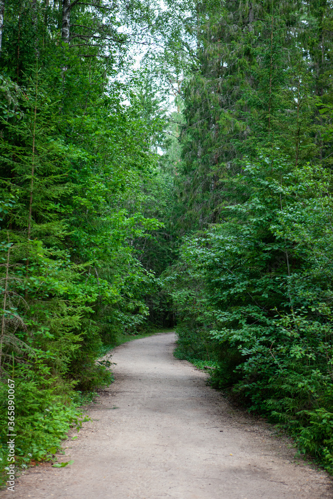 Gravel road between trees in the forest - Vaidava, Latvia Gravel road between trees in the forest - Vaidava, Latvia