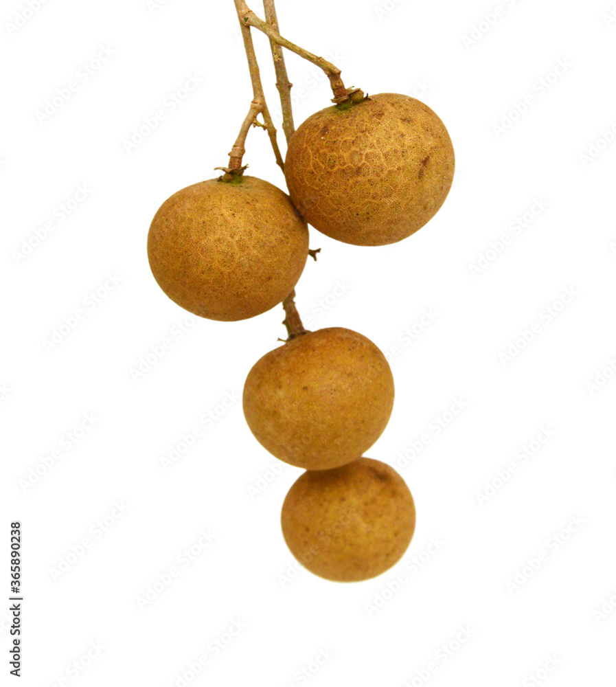 longan. fresh longan on the background longan. fresh longan on the background