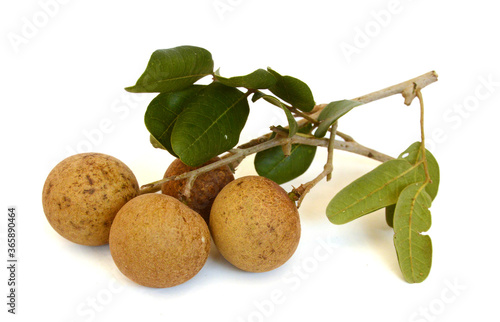 longan. fresh longan on the background