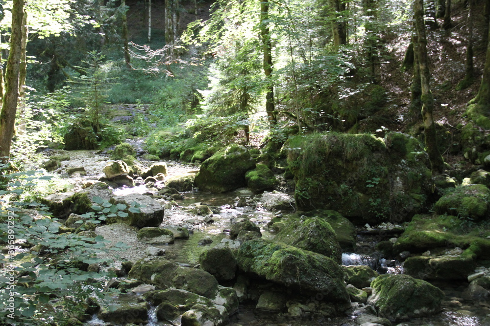 Summer beautiful waterfall fresh nature landscape Summer beautiful waterfall fresh nature landscape