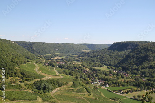 Vineyards panoramic view landscape hill © Estelle R
