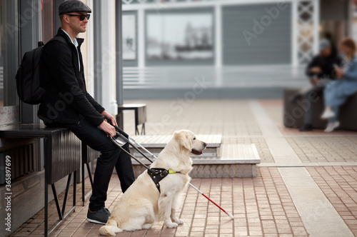 Fototapet disabled person sit having rest with dog guide outdoors, blind male in safety wi