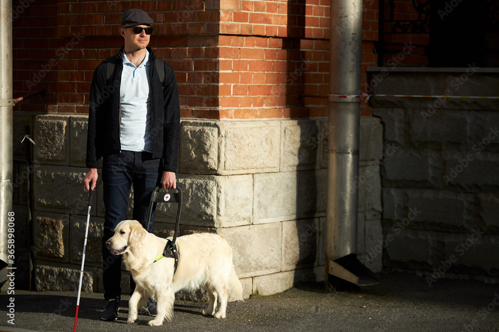 young sick man with blindness get help by dog guide, man is helpless without dog, he use cane for disabled young sick man with blindness get help by dog guide, man is helpless without dog, he use cane for disabled